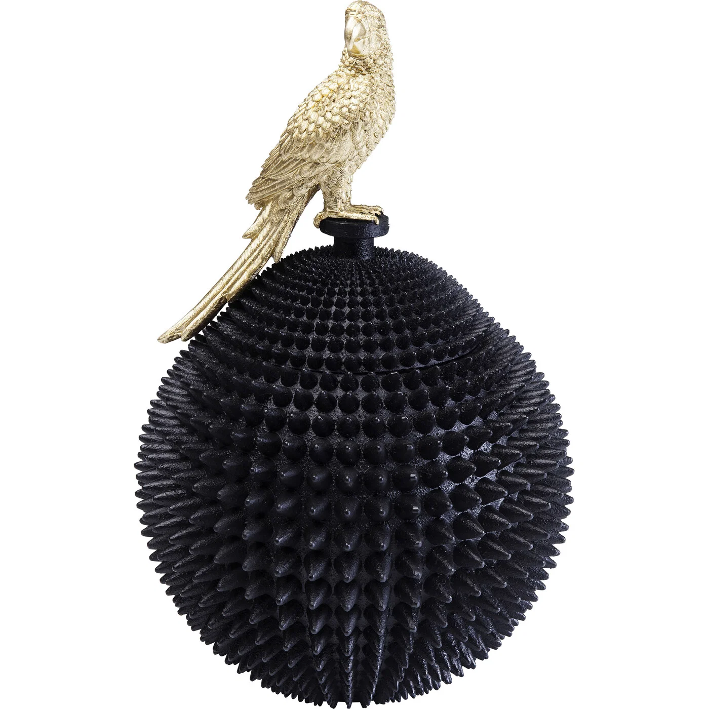 Dekodose Papageiengriff Schwarz-Gold 40 cm