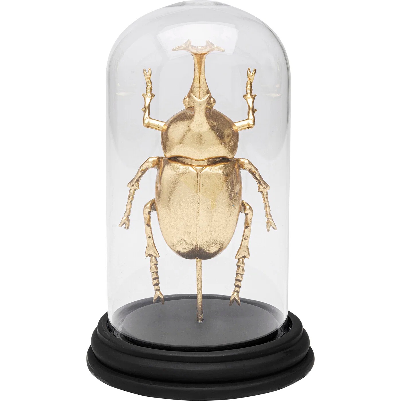 Dekoobjekt Goldener Käfer unter Glas 20 cm