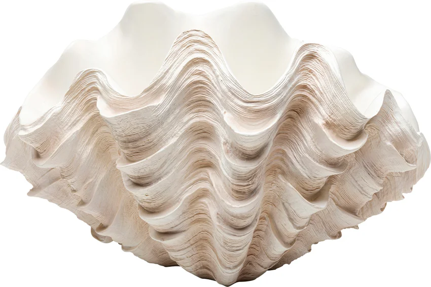Dekovase Muschelform 48 cm
