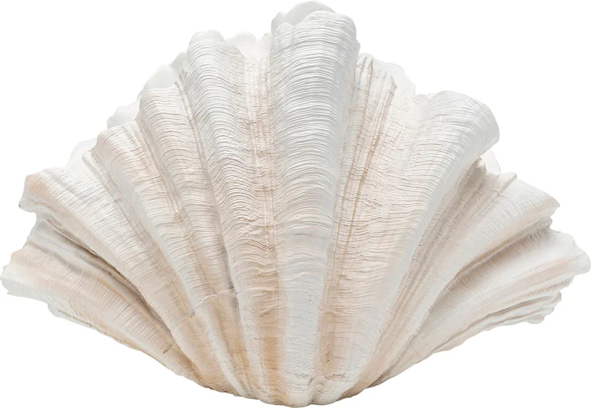 Dekovase Muschelform 57 cm