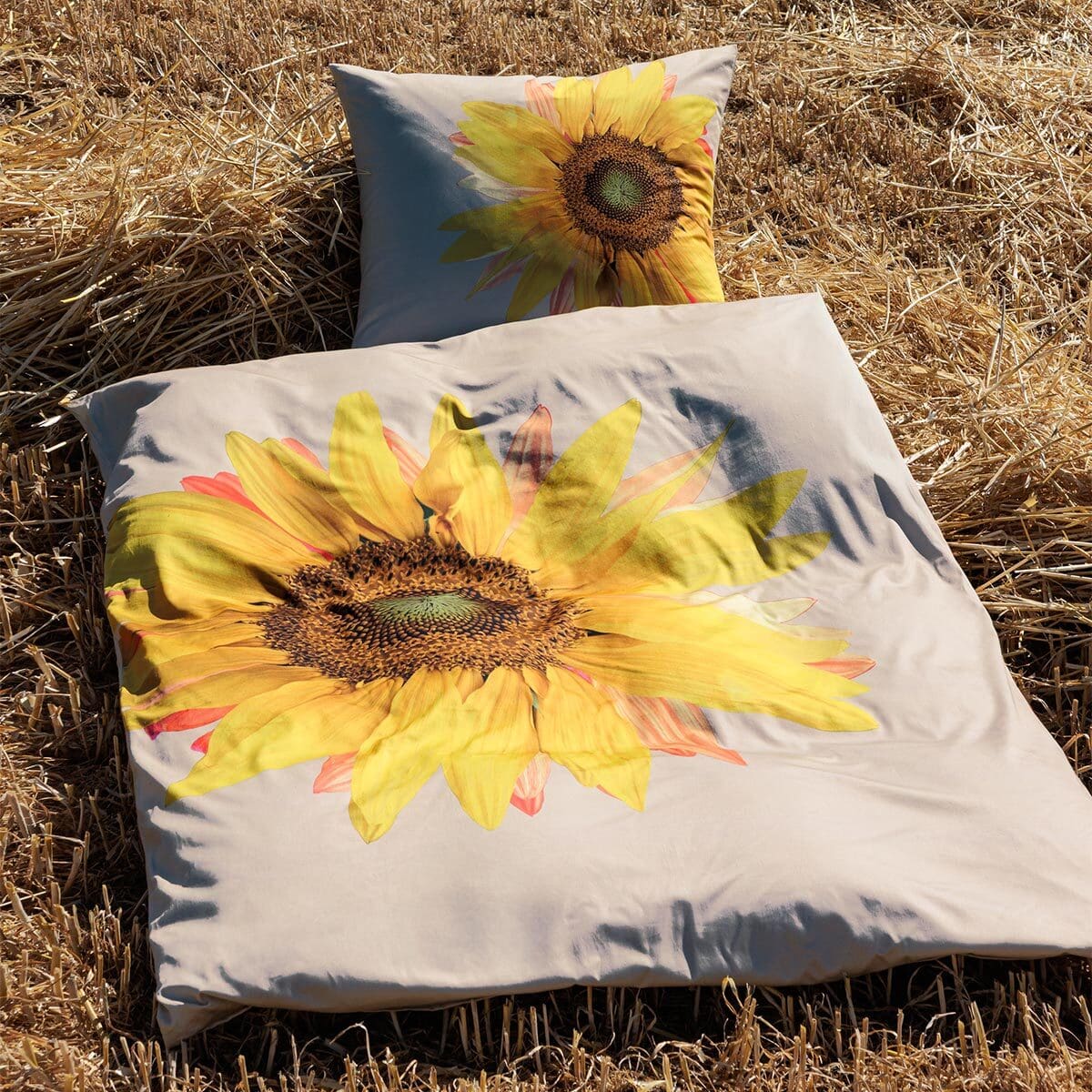Bettwäsche Sonnenblume – MODERN ART S 42162