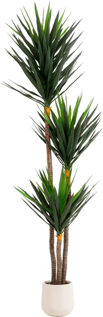 Kunstpflanze Palmlilie 250 cm