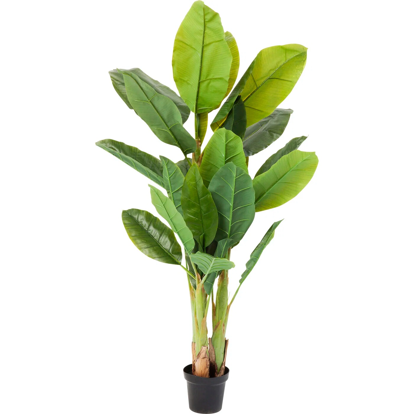 Kunstpflanze Bananenbaum 180 cm
