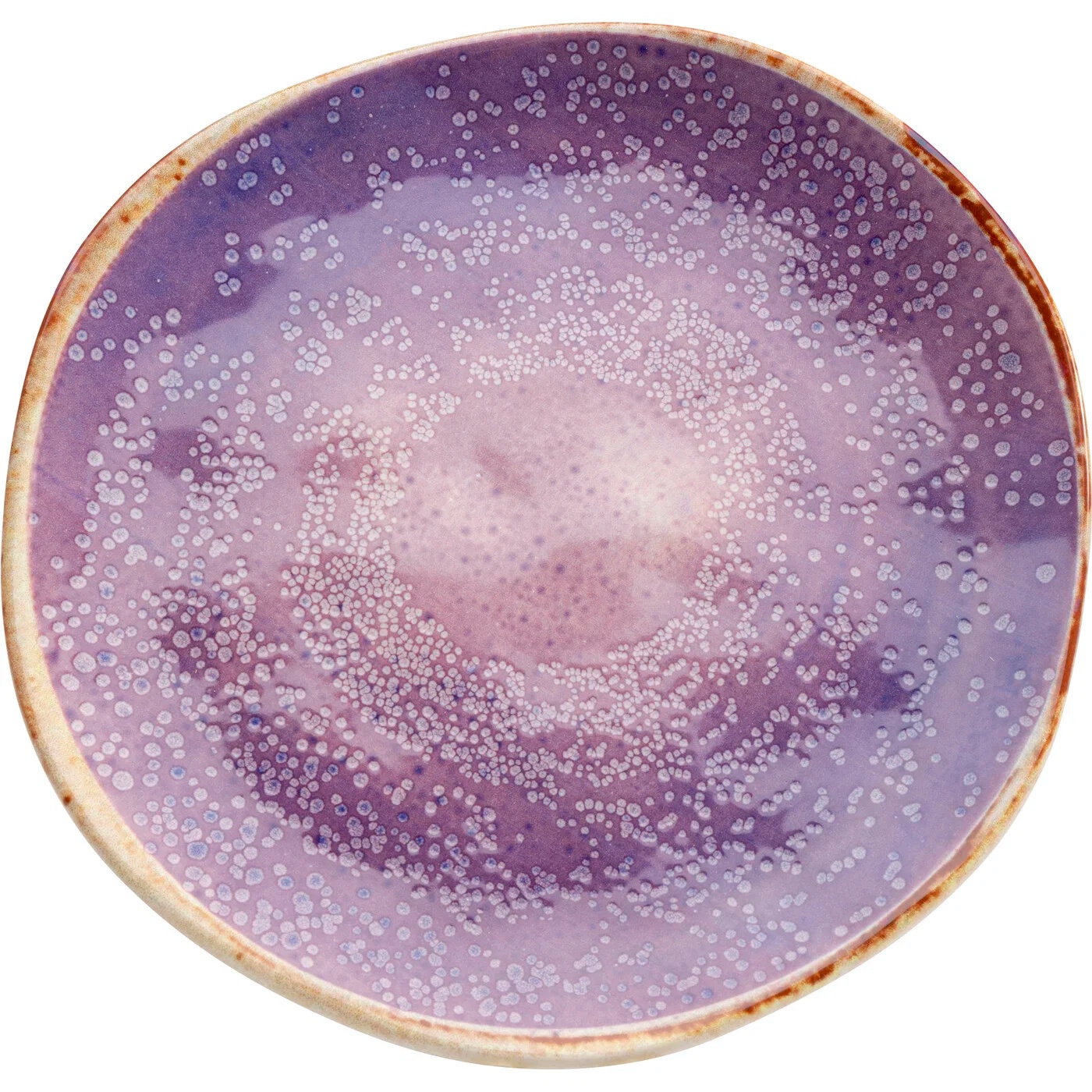 Teller Violettstern Violett Ø21 cm – 16er-Set