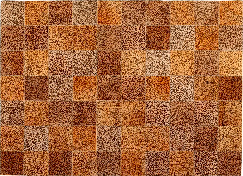 Teppich Leoquadrat 200 × 300 cm