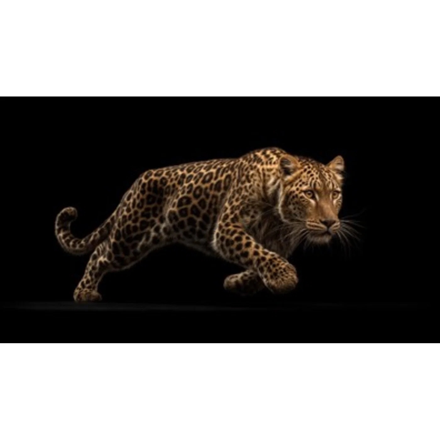 Wandbild Leopard Schwarz 70 × 50 cm